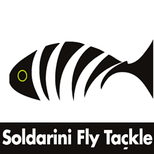 Soldarini