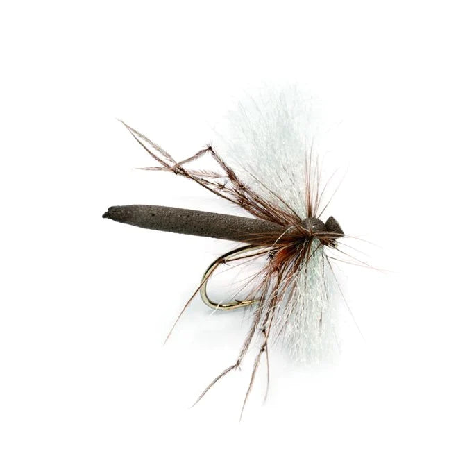 Hoppers & Terestrials