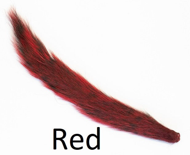 Grey Squirrel - Dyed