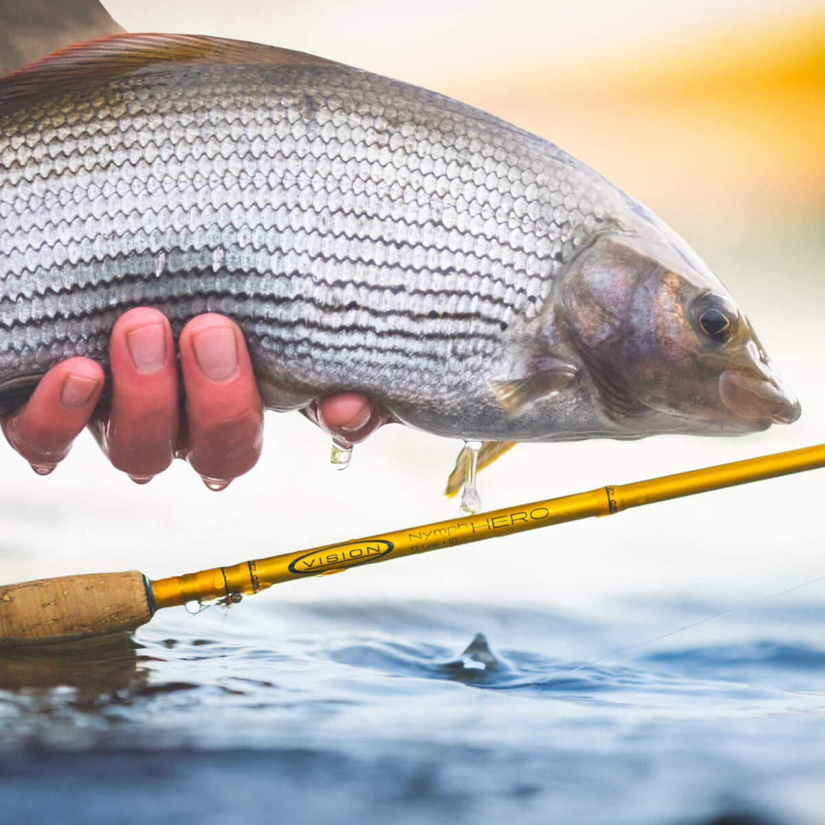 Vision Nymph Hero Outfit - 10ft # 3