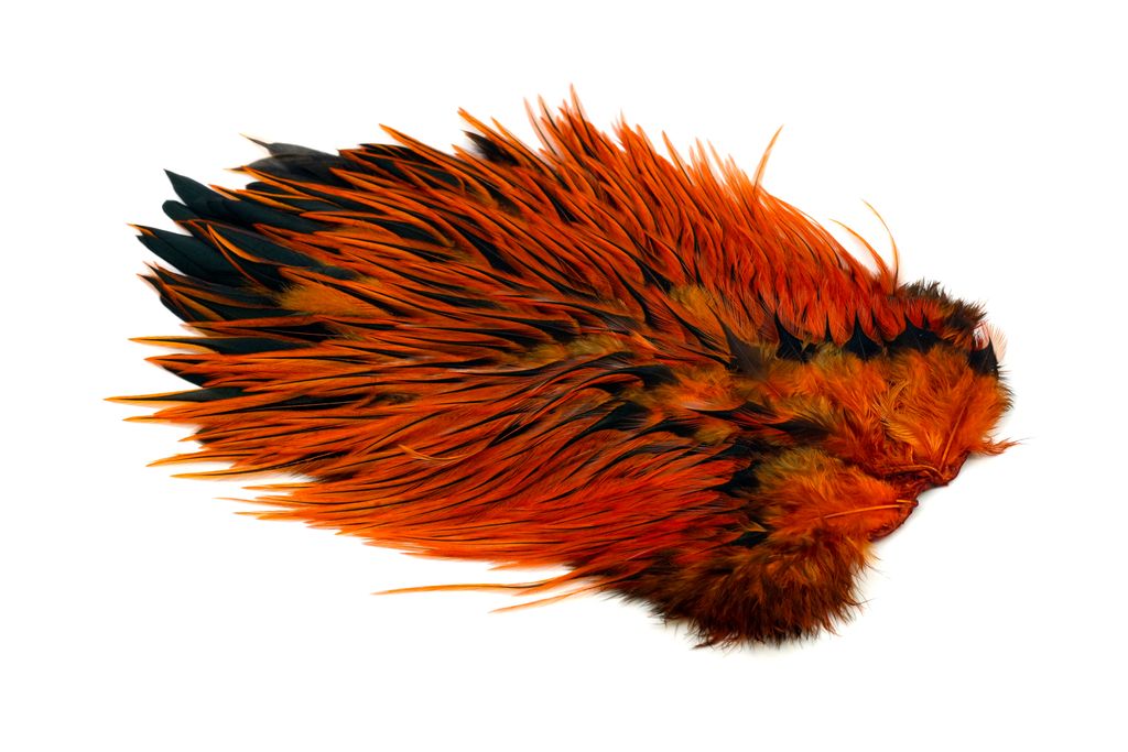 Whiting Brahma Rooster Saddle