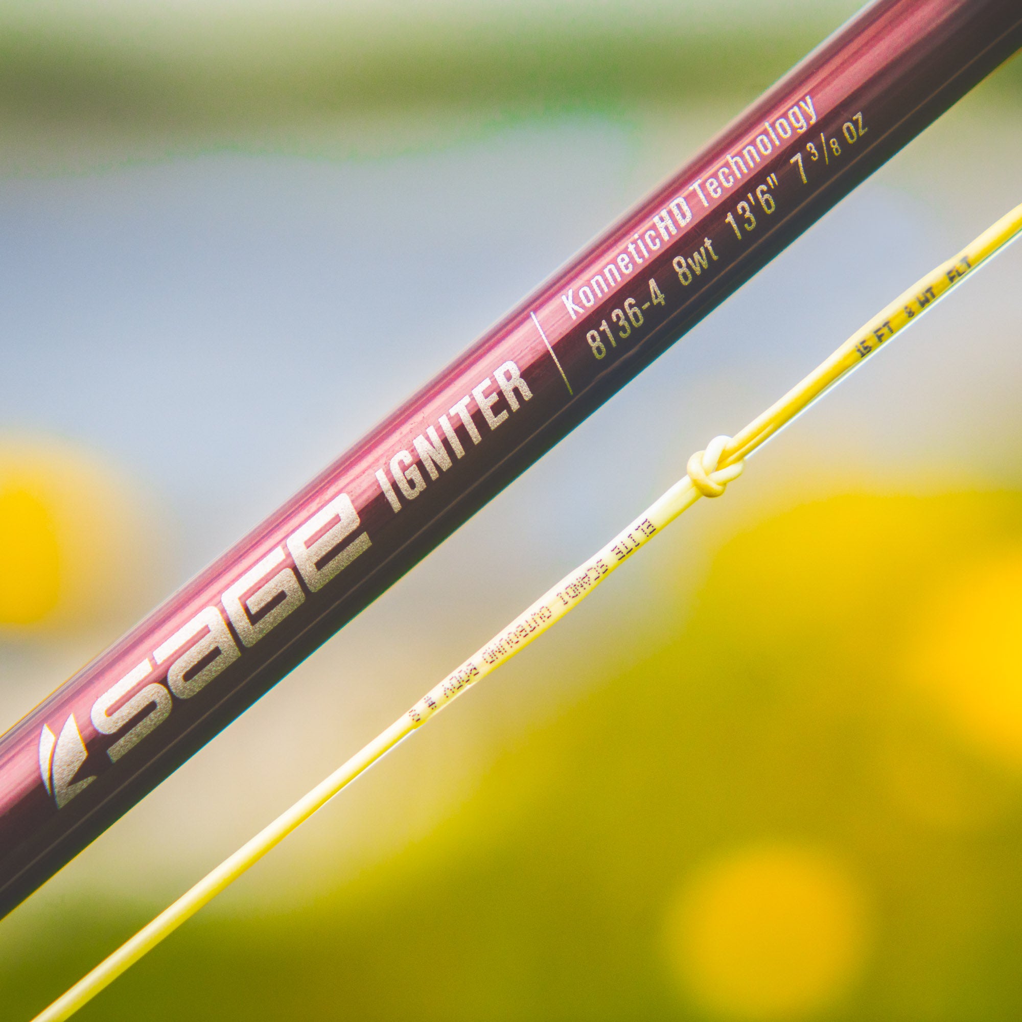 RIO ELITE SCANDI OUTBOUND BODY