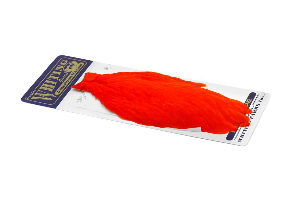 Whiting American Hen Cape