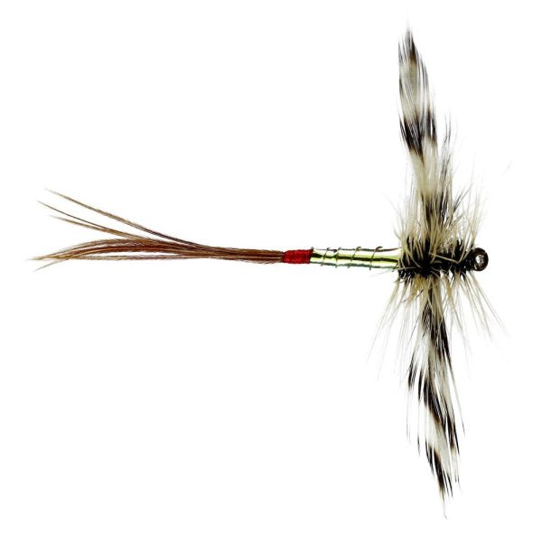 Mirage Spent Mayfly Male