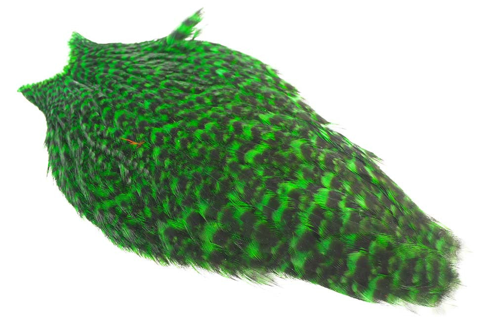 Whiting American Hen Cape