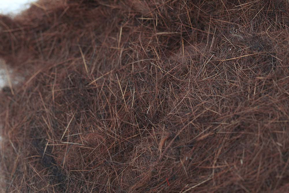 SWISS CDC Argentinian Hare 2g