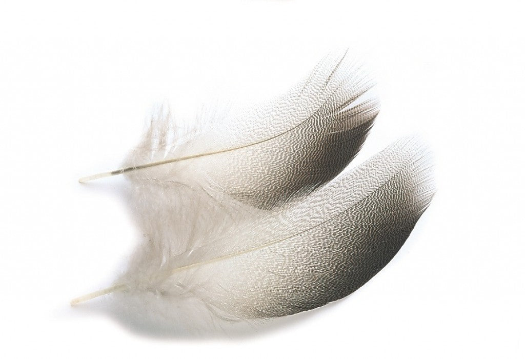 Veniard Mallard Duck bronze shoulders selected