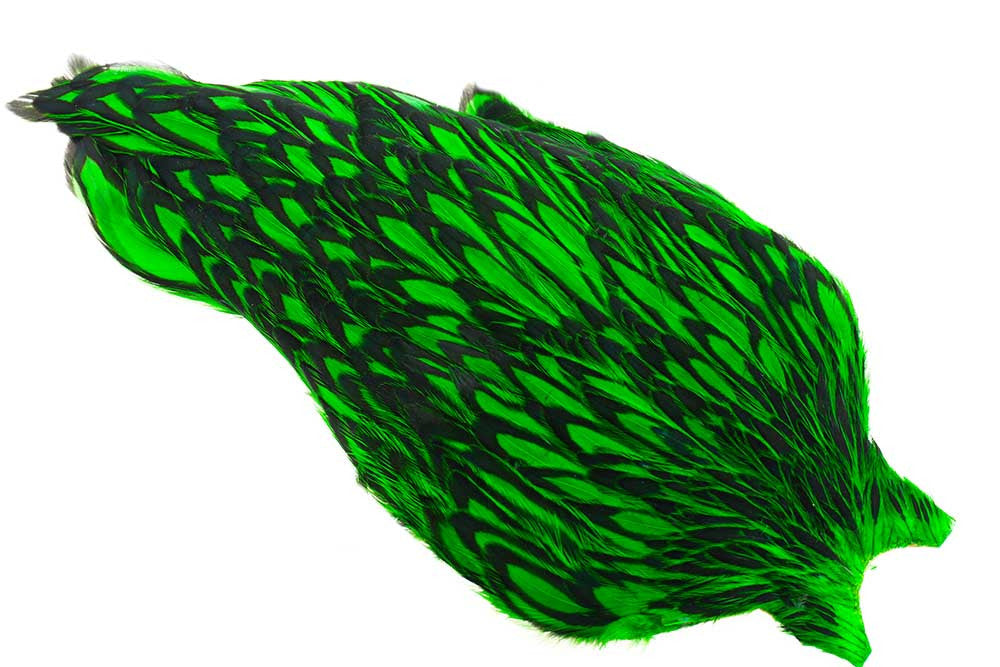 Whiting American Hen Cape - Laced