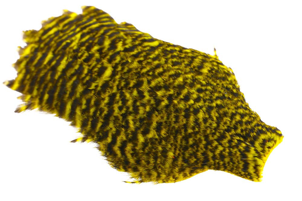 Whiting American Hen Cape