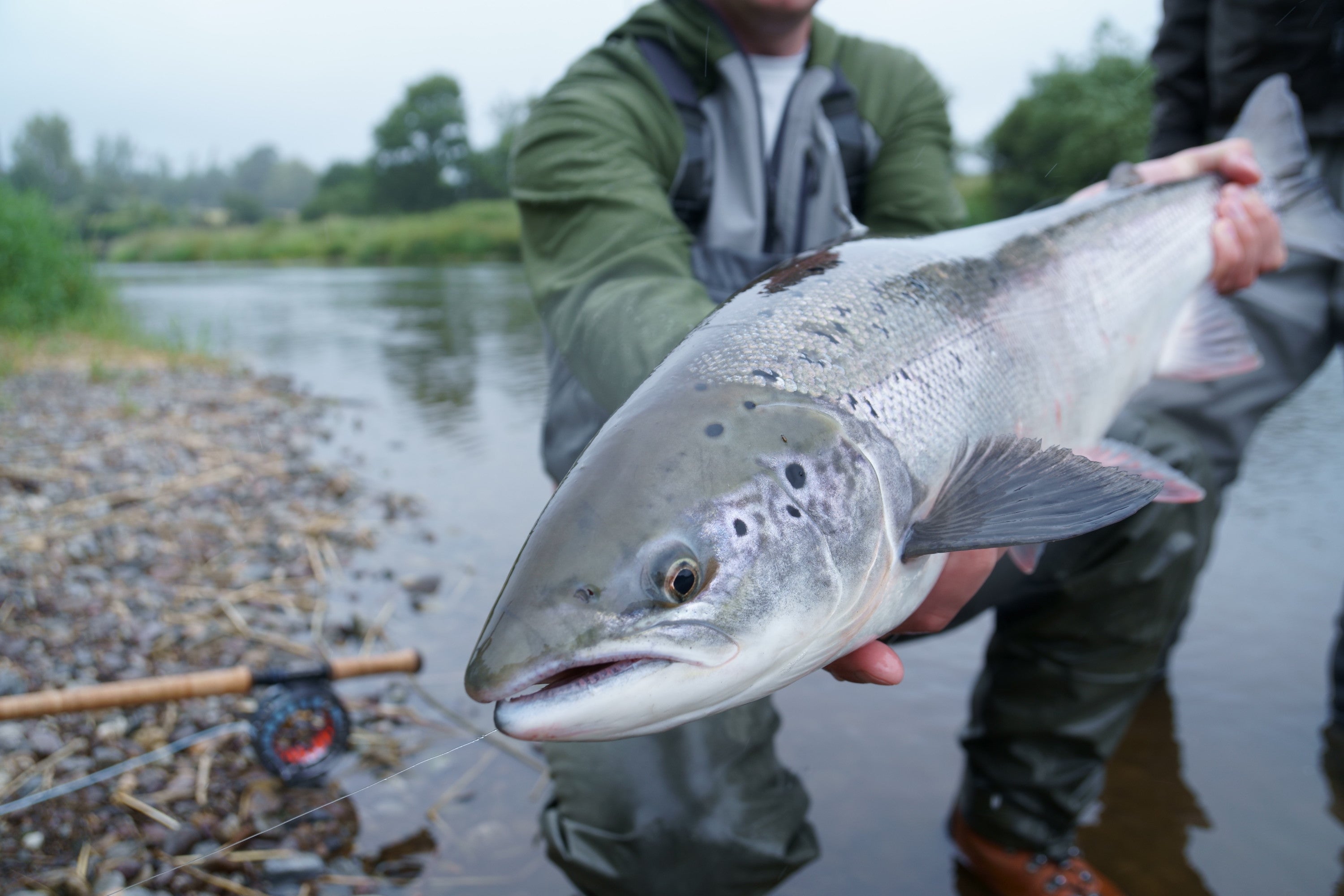 1 Day Spey Casting & Salmon Course 2025